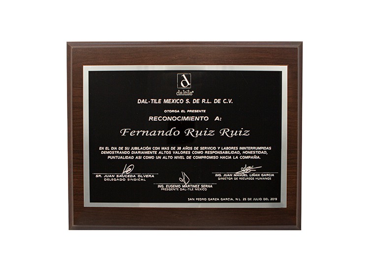 imgi_10_diseno-de-reconocimientos-en-monterrey-05