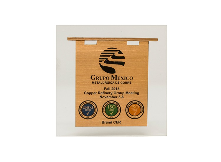 imgi_22_diseno-de-reconocimientos-en-monterrey-02