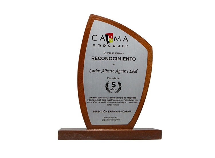 imgi_39_reconocimientos-en-monterrey-18