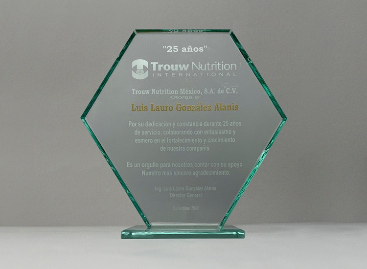 imgi_41_reconocimientos-en-monterrey-23