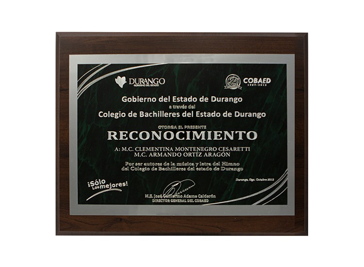imgi_5_diseno-de-reconocimientos-en-monterrey-12